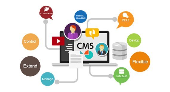 Best Marketing Agency Website - Jives Media