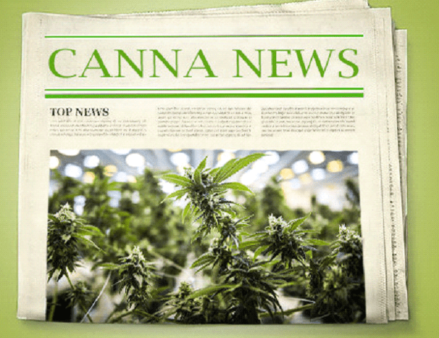 Cannabis Media